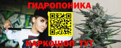 прущие крисы Донецк