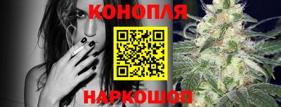 шишки Заводоуковск