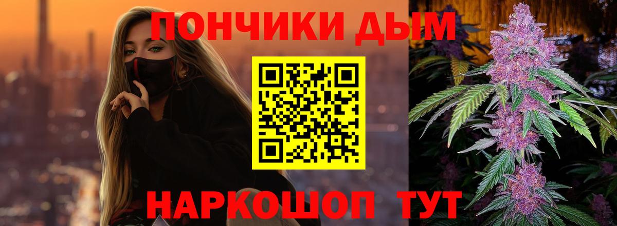 Бошки Шишки Amnesia Лянтор